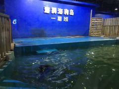 -重庆欢乐海底世界