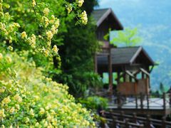 -太阳湾风景区