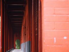 -洛阳白马寺
