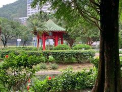 -大埔公路-马料水段香港中文大学(公交站)