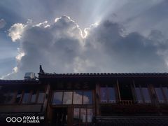 -木王宴语·野生鲜菌火锅(玉河店)