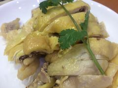 -全乐鱼馆·淳牌有机鱼直营店