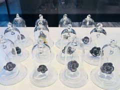 -上海昆虫博物馆