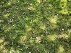 -风云岭森林公园