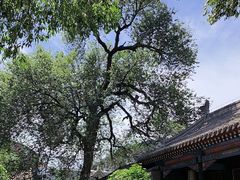 -内蒙古将军衙署博物院