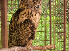 -青峰峡国家森林公园