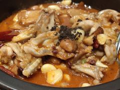 黑松露牛肝菌焖牛蛙-云海肴云南菜(正大广场店)