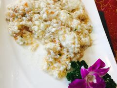 -丁老爷子苏香圆