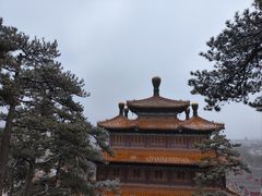 -大清花饺子(山庄店)