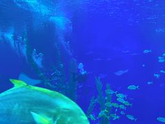 -前王院•巧克力海鲜市集餐厅(万平口店)