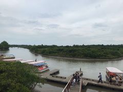 -东寨港红树林旅游区