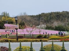 -棒棰岛宾馆景区