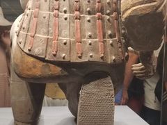 -秦始皇帝陵博物院(兵马俑)