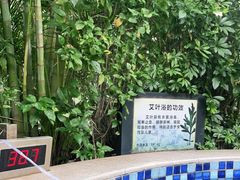 -林丰温泉度假山庄