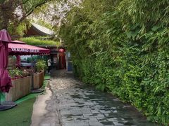 -万柳阁小馆·花园餐厅(龙潭湖店)