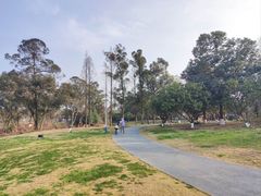 -两河城市森林公园