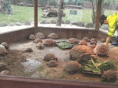 -海南热带野生动植物园