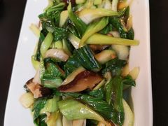 -陈家面馆