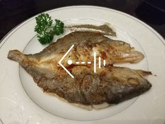 铁板香煎黄花鱼-汕头国际大酒店-牛一町目餐厅
