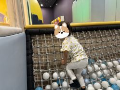 -MELAND CLUB亲子乐园·派对·餐厅(北京芳圆里ID MALL店)