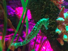 -沈阳海洋探索中心