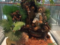 -济州岛泰迪熊博物馆