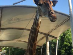 -泉州海丝野生动物世界