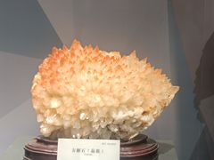 -湖南省地质博物馆