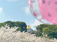 -苏州上方山国家森林公园