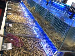 -必点海鲜·鲅鱼水饺(鞍山西道店)