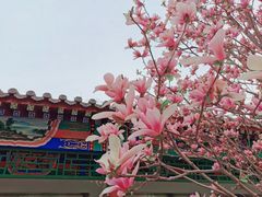 -丰台花园