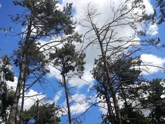 -长春净月潭风景名胜区