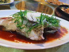 清蒸青斑-华兴餐厅·招牌生鱼片(桃园路店)