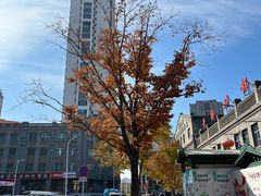 -张包铺(道外店)