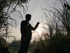 -桤木河湿地公园