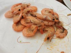 -龙达温泉生态城