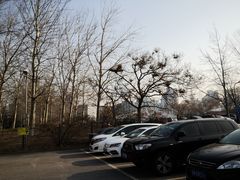 -奥林匹克森林公园北园-停车场