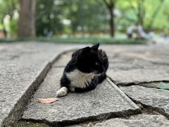 -西园戒幢律寺
