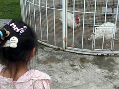 -宁波九龙湖开元度假村