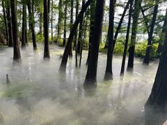 -东湖落雁景区