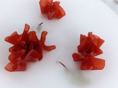 山楂鹅肝-拾久(朝阳公园店)