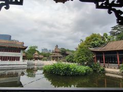 -顺峰山公园