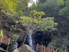 -长谷洞天