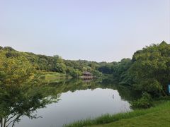-宜兴龙背山森林公园