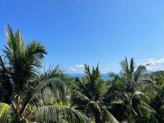 -三亚海棠湾万丽度假酒店