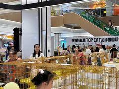 -帕帕拉兹宠物(亚洲旗舰店)