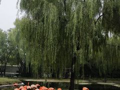 -石家庄市动物园