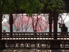 -望江楼公园