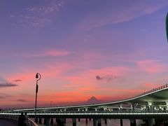 -演武大桥观景平台