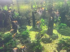 -南昌海洋公园